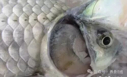 1765250918519578.jpg 2.jpg