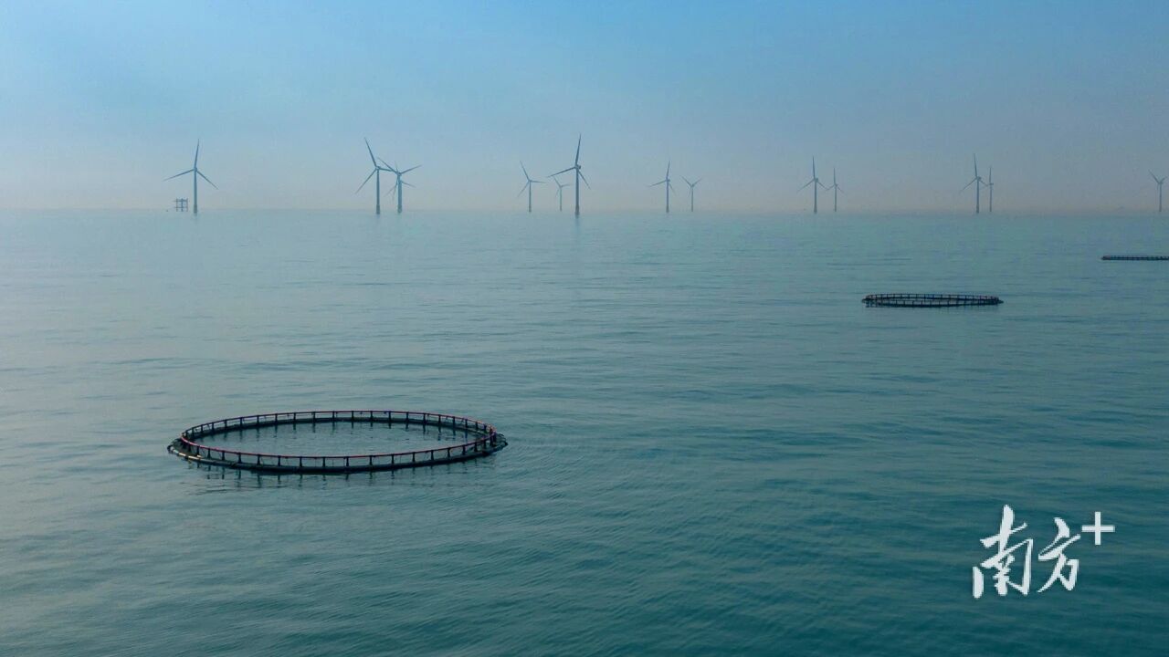 1765334996462528.jpg bc4393f929b8743875e09fab9114ec1d.jpg