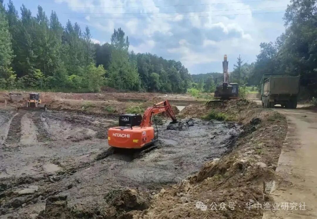 1765336006894282.jpg edbac02498b2fae9ab6d4d739e23e946.jpg