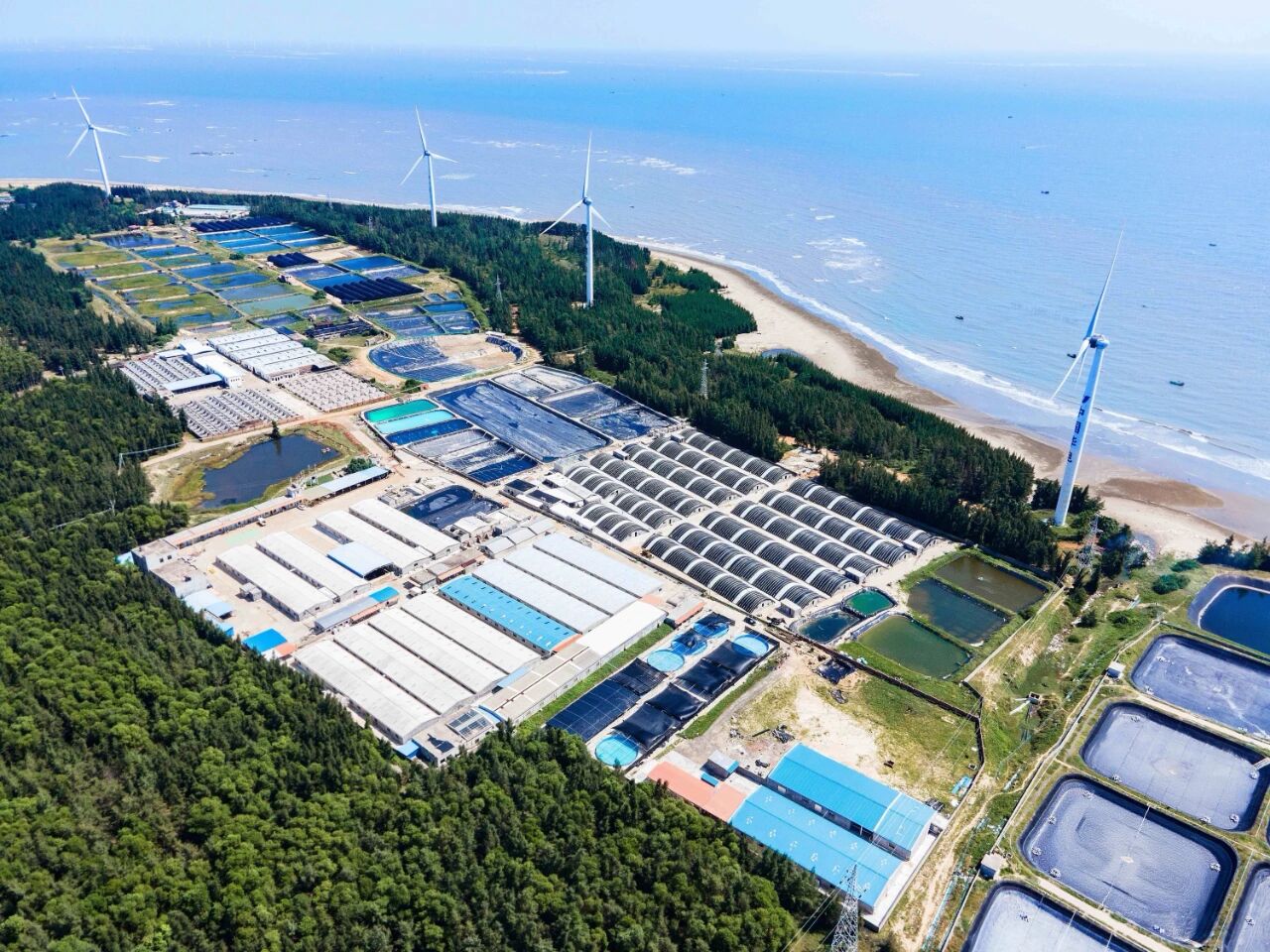 1765419964425204.jpg 3.jpg