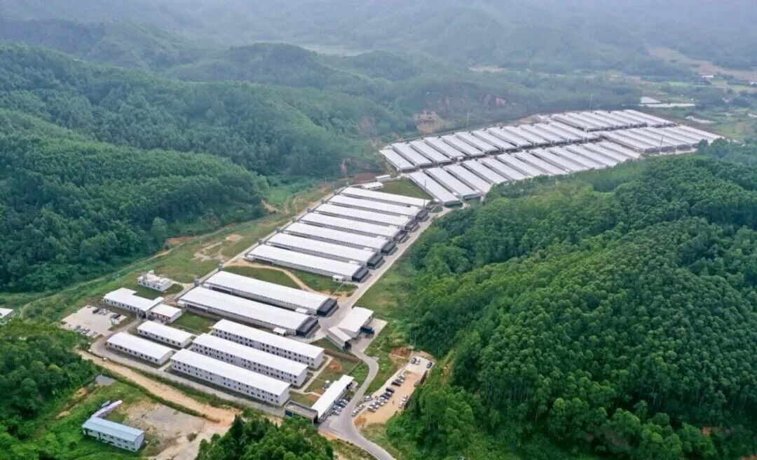 1765420042360412.jpg 5.jpg