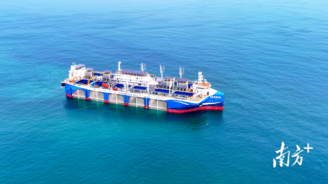 1765420770888897.png 3.png