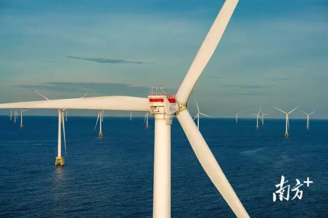 1765420981998785.jpg 7.jpg