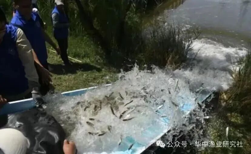 1765421417698910.jpg 3.jpg