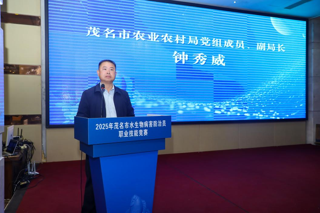 1765437852101468.png 图片1.png