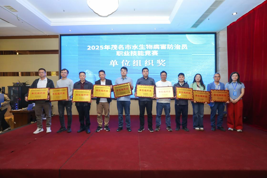 1765438338168090.png 图片6.png