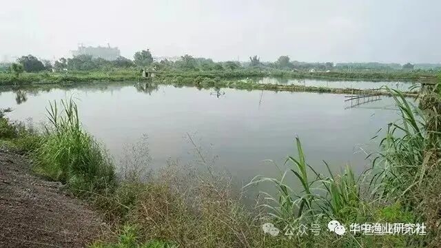 1765507423136248.jpg 1.jpg