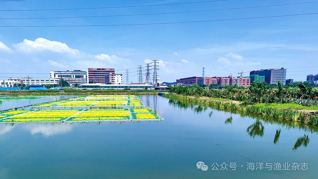 微信图片_2026-04-10_145936_070.jpg