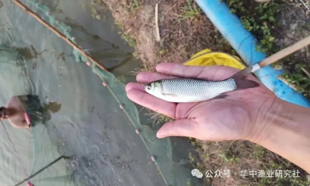 微信图片_2026-04-17_164857_949.jpg