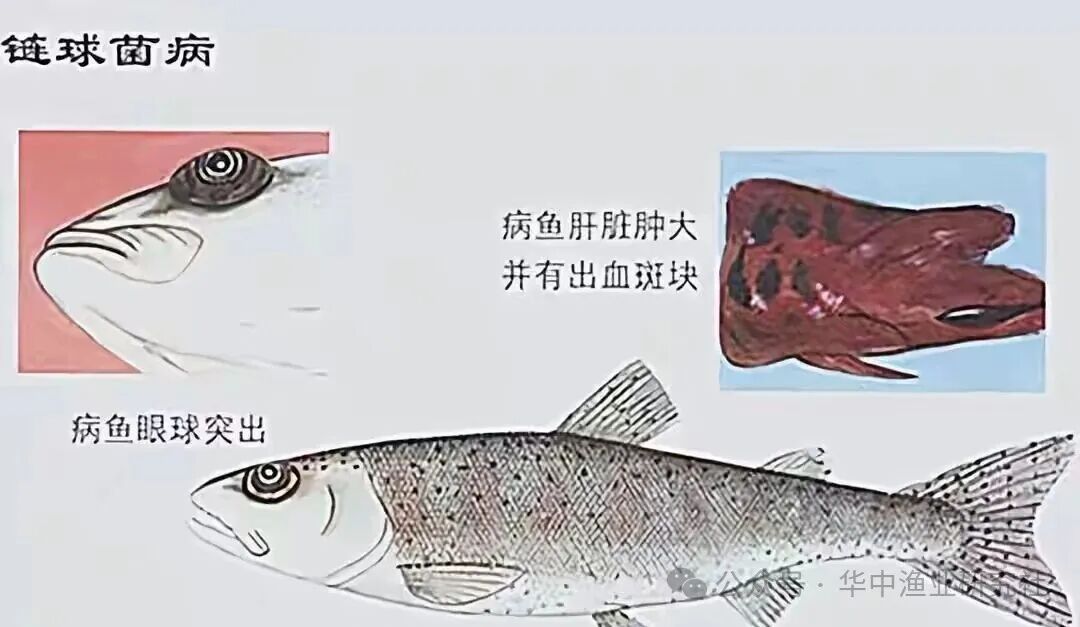 微信图片_2026-04-30_151746_998.jpg