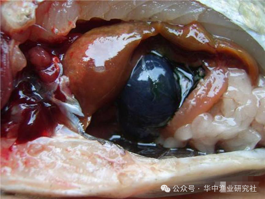 微信图片_2026-04-30_151835_303.png