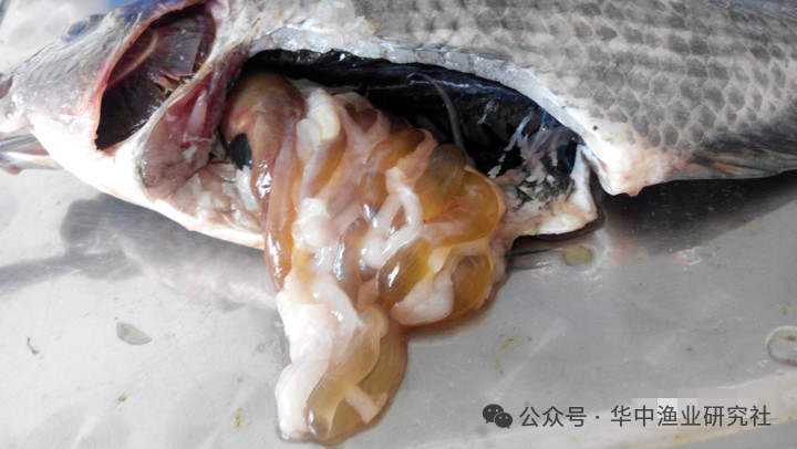 微信图片_2026-04-30_151909_331.png