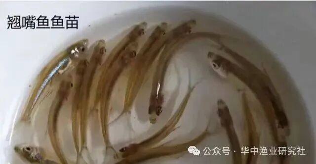 微信图片_2026-04-30_152927_804.jpg