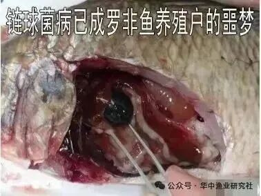 微信图片_2026-07-26_164352_862.jpg