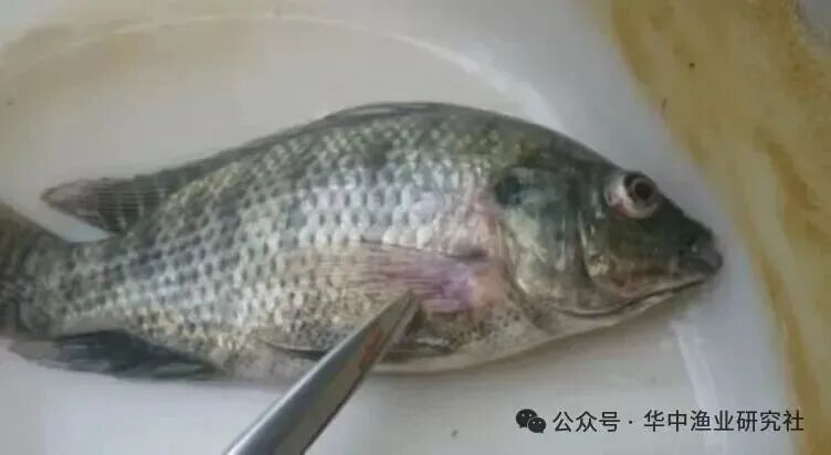 微信图片_2026-07-26_164405_282.jpg