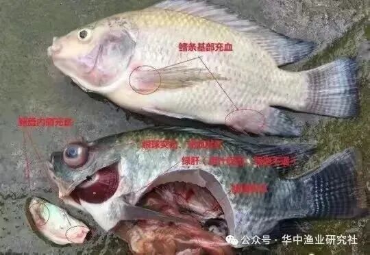 微信图片_2026-07-26_164409_955.jpg
