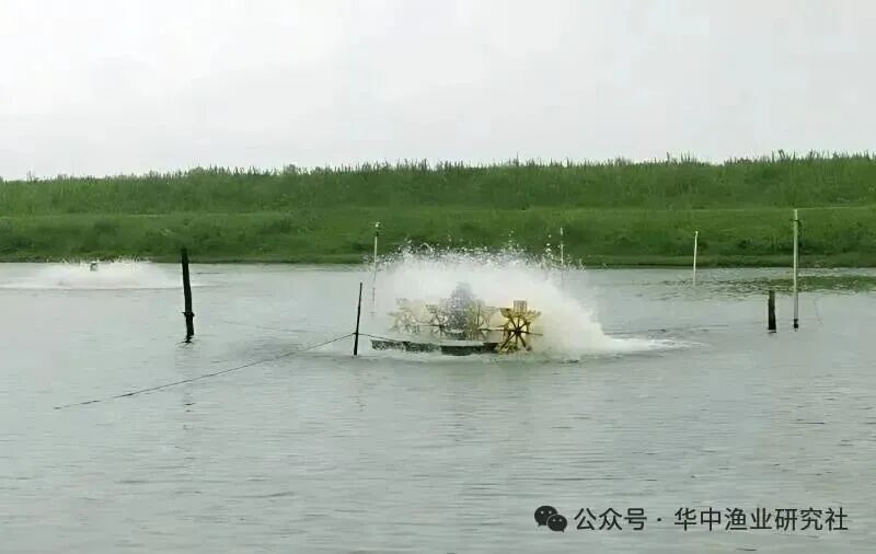 微信图片_2026-07-26_164420_837.jpg