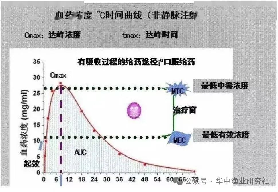 微信图片_2026-08-01_114329_794.jpg