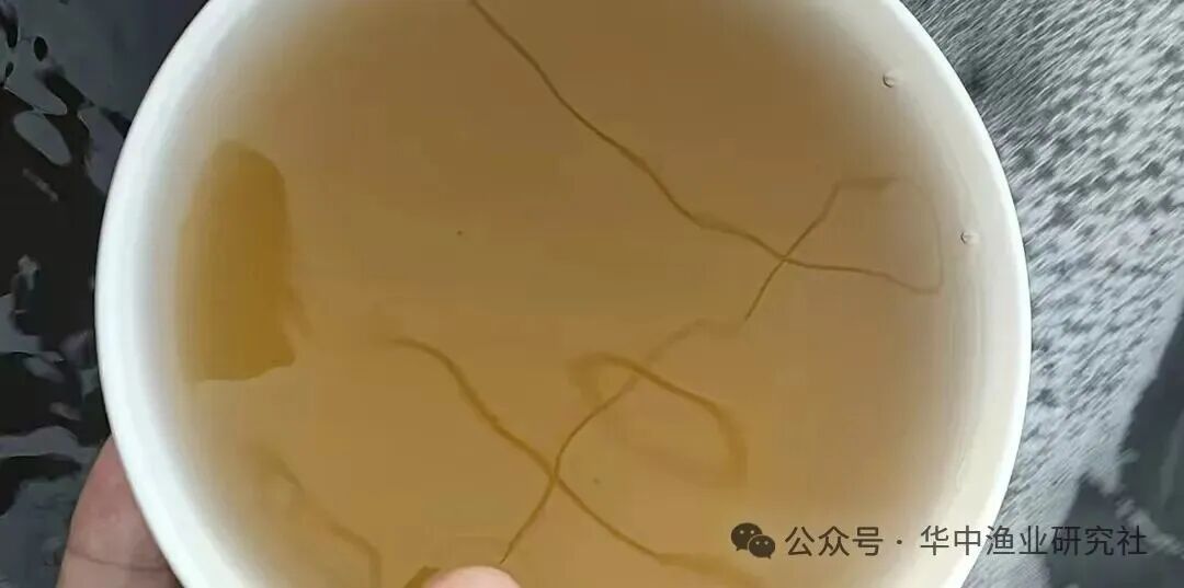 微信图片_2026-08-01_120630_720.jpg