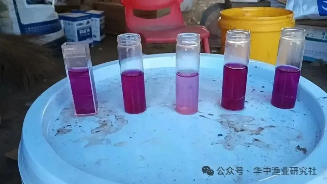 微信图片_2026-08-01_120658_512.jpg