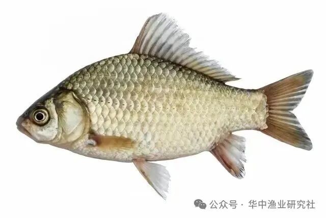 微信图片_2026-09-16_124001_171.jpg