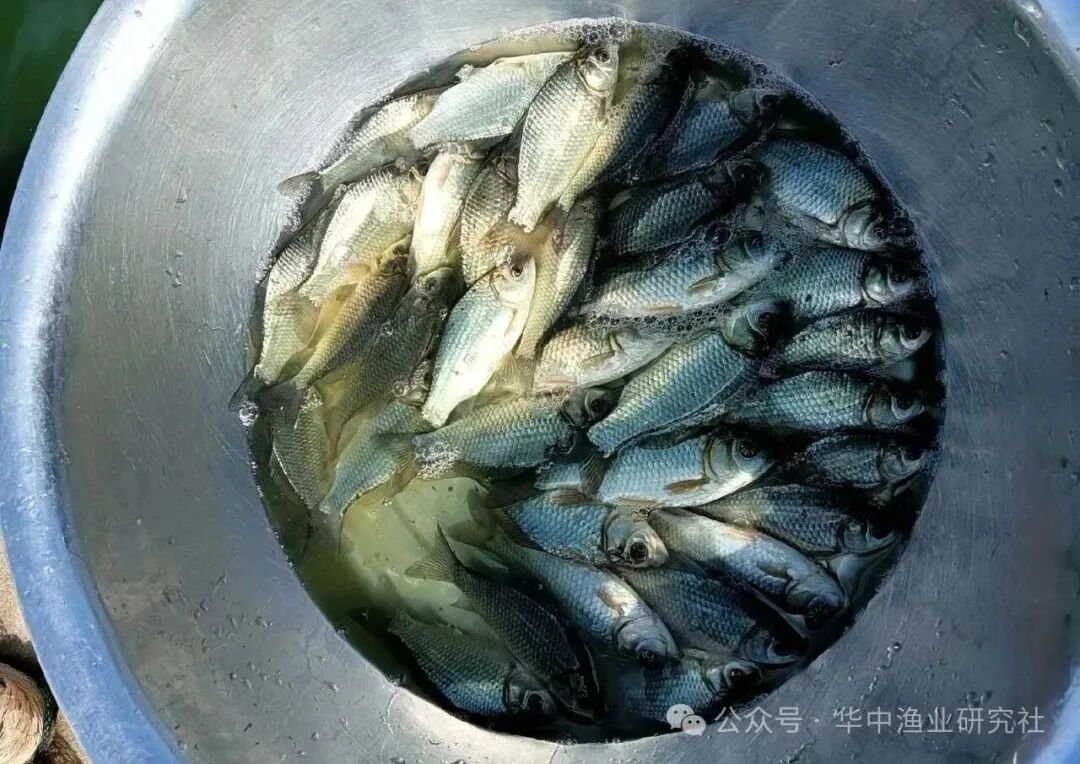 微信图片_2026-09-16_124200_830.jpg